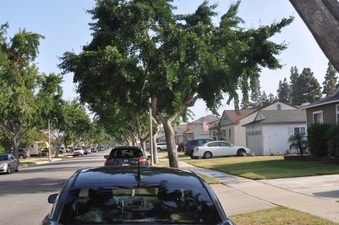 JOSIE AVE.  4300-4400