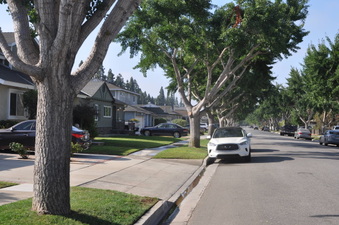 Enlarge photo 20