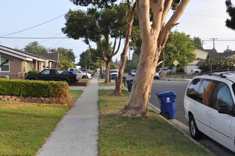 Enlarge photo 14