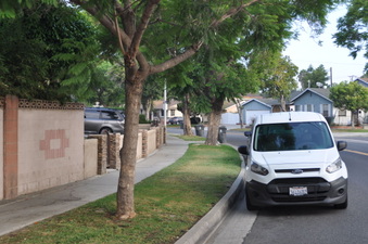 Enlarge photo 15