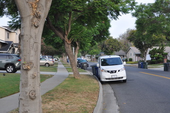 Enlarge photo 20