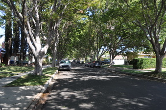 Enlarge photo 12