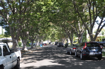 Enlarge photo 13