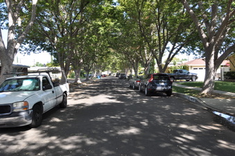 Enlarge photo 15