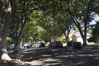 Enlarge photo 16
