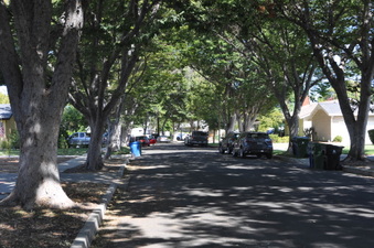 Enlarge photo 17