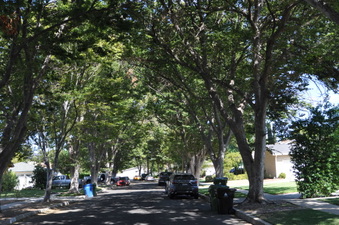 Enlarge photo 18