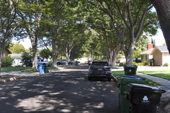 Enlarge photo 21