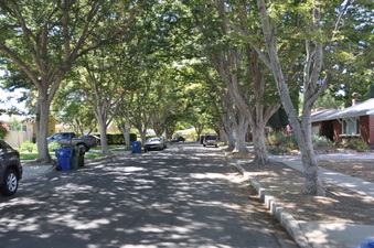 Enlarge photo 25
