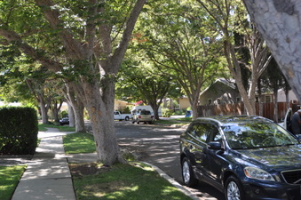 Enlarge photo 31