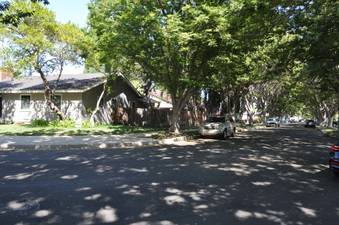 Enlarge photo 33