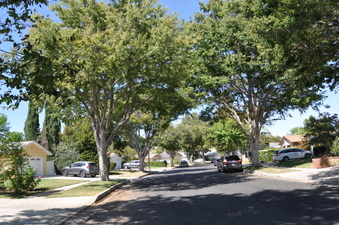 Enlarge photo 24