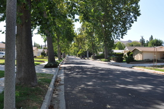 Enlarge photo 14