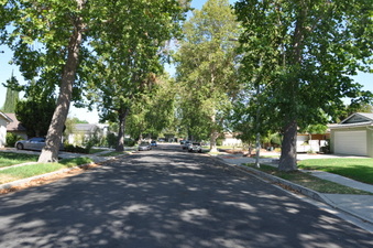 Enlarge photo 19