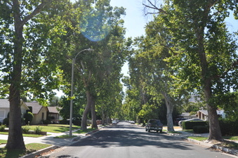 Enlarge photo 21