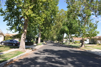 Enlarge photo 28