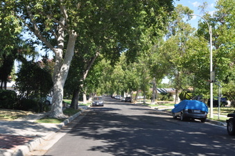 Enlarge photo 8