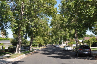 Enlarge photo 18