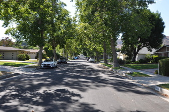 Enlarge photo 25
