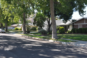 Enlarge photo 26