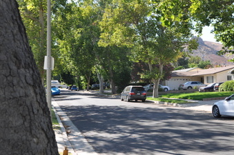 Enlarge photo 29