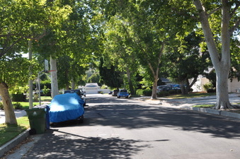 Enlarge photo 30