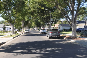 Enlarge photo 11