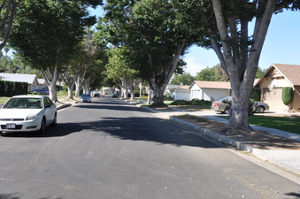 Enlarge photo 14