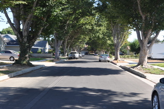 Enlarge photo 19