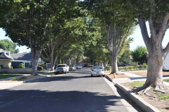 Enlarge photo 20