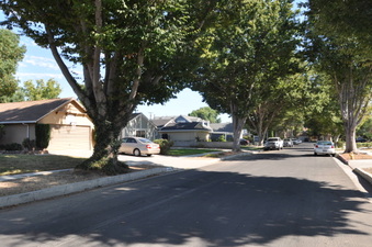Enlarge photo 21