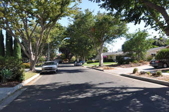 Enlarge photo 28