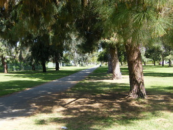 Enlarge photo 9