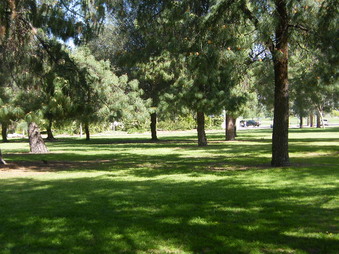 Enlarge photo 15