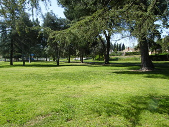 Enlarge photo 17