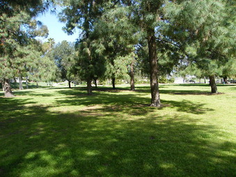Enlarge photo 18