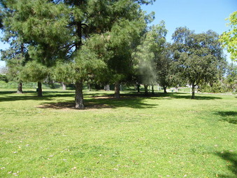 Enlarge photo 20