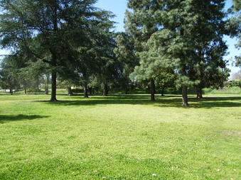 Enlarge photo 21