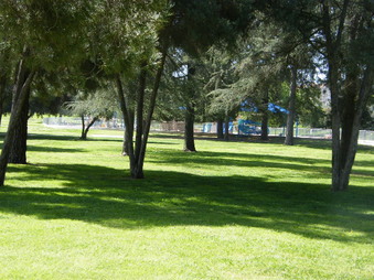 Enlarge photo 22