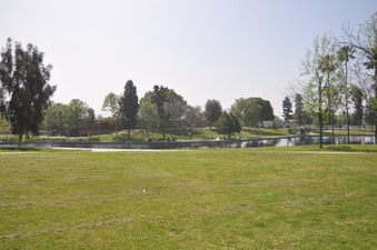 BELVEDERE PARK LAKE