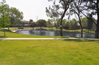 Enlarge photo 5