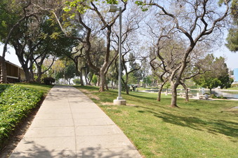 Enlarge photo 10
