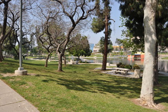 Enlarge photo 11