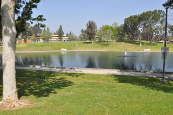 Enlarge photo 12