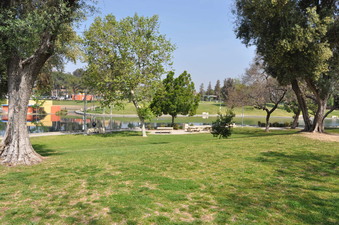 Enlarge photo 14
