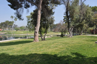 Enlarge photo 16