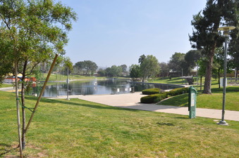 Enlarge photo 18