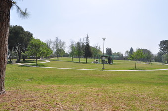 Enlarge photo 27