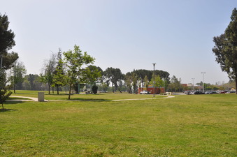 Enlarge photo 28