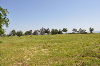 Enlarge photo 18